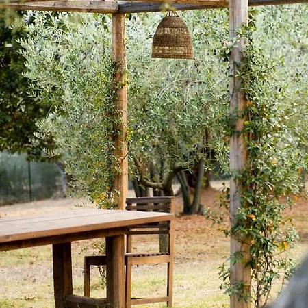 Casale Delle Lavande Bed & Breakfast *