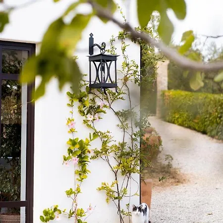Bed & Breakfast Casale Delle Lavande Citta Sant'Angelo