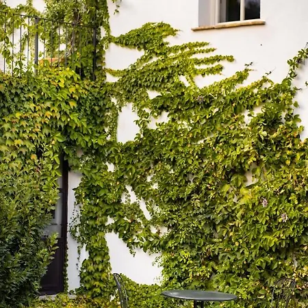 Casale Delle Lavande Bed & Breakfast Citta Sant'Angelo