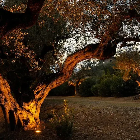 Casale Delle Lavande Panzió