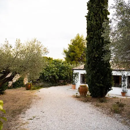 Casale Delle Lavande Bed & Breakfast