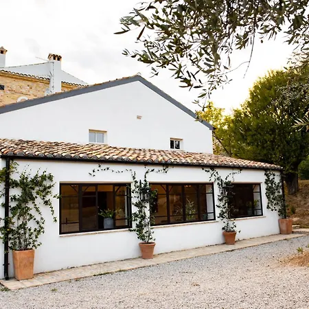 Bed & Breakfast Casale Delle Lavande *