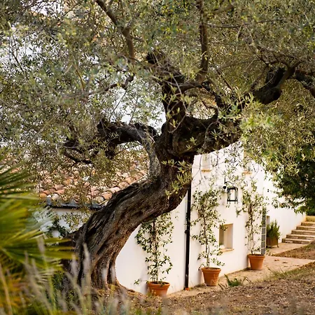 Casale Delle Lavande Bed & Breakfast