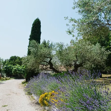 Casale Delle Lavande Citta Sant'Angelo
