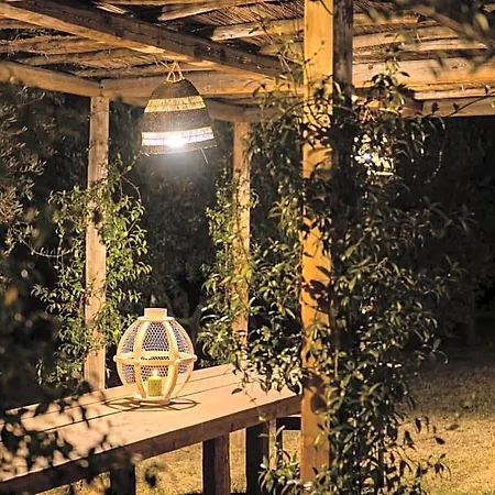 Casale Delle Lavande Bed & Breakfast