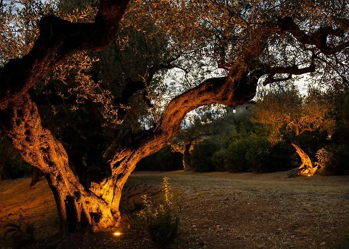 Casale Delle Lavande Bed and Breakfast