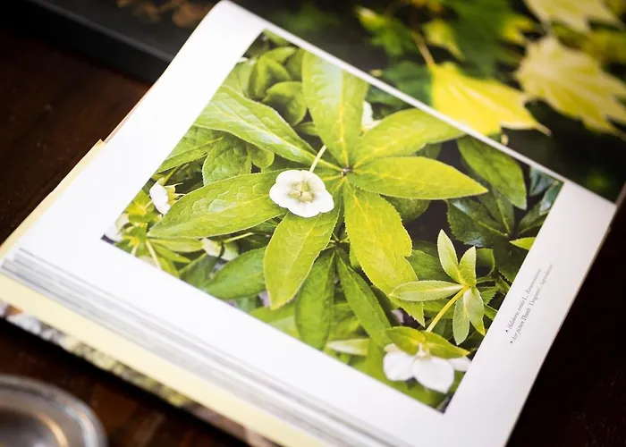 Casale Delle Lavande Bed & Breakfast