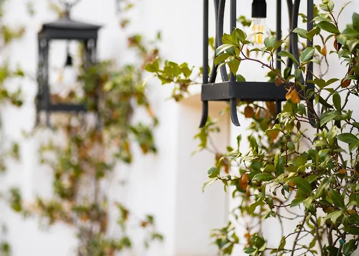 Bed & Breakfast Casale Delle Lavande