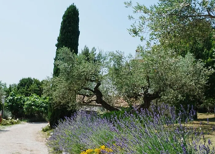 Casale Delle Lavande Città Sant'Angelo